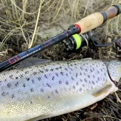 Rhino 3,16m 10' Inshore Sea Trout G1 Open Coast Werpgewicht: 8-42g -Hengels Verkoop 14400 D2 scaled 1 1