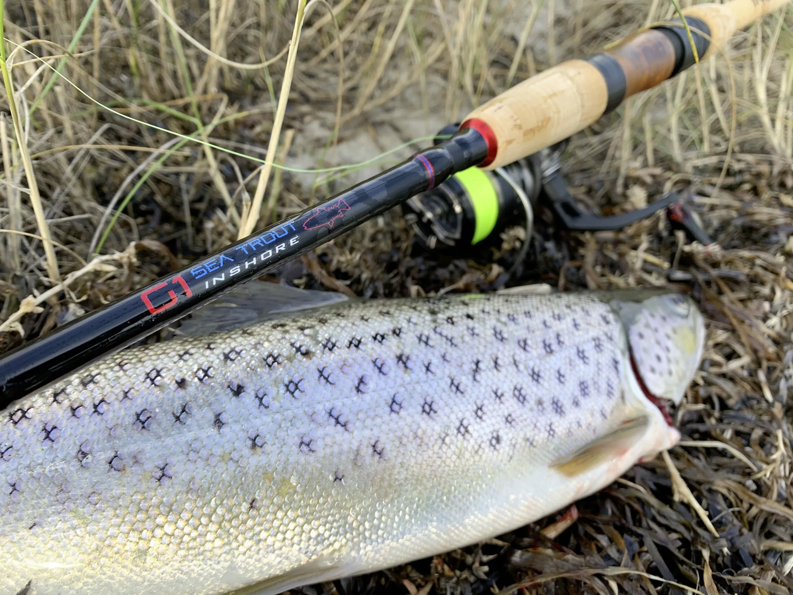 Rhino 2,74m 9' Inshore Sea Trout G1 Haff Werpgewicht: 6-38g 9 Rhino 2,74m 9' Inshore Sea Trout G1 Haff Werpgewicht: 6-38g - Afbeelding 7