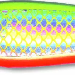 Zebco 200g Z-Sea Ruby Head Pilker Oranje #2/0