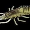 Jenzi Real Shrimp Imitation With UV -Hengels Verkoop 5526210 01