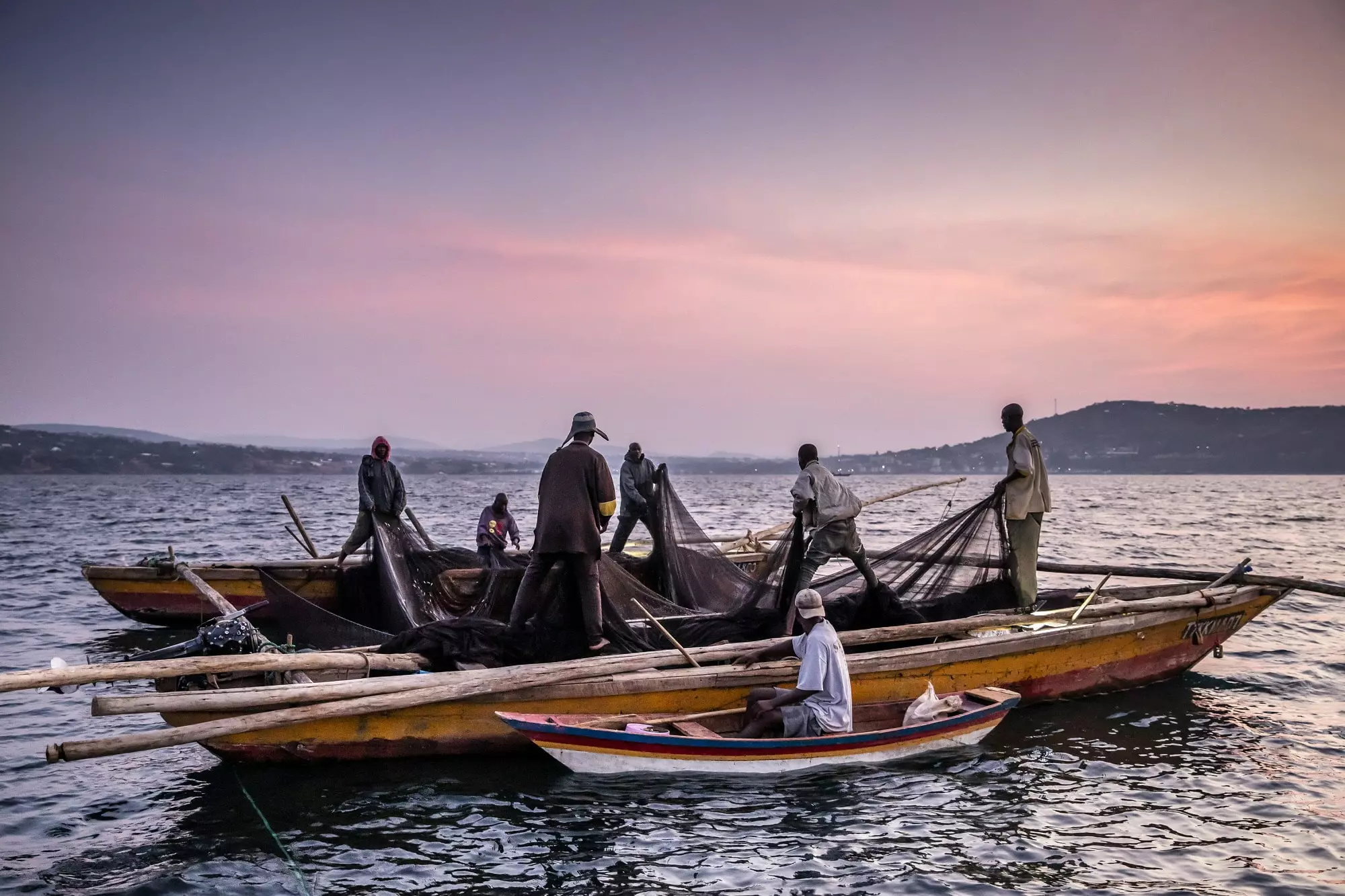 Voorpagina -Hengels Verkoop 36